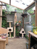 cattery_dolphinton01010012.jpg